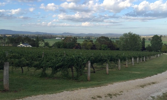 Eurunderee House | Beautiful Vineyard Accommodation