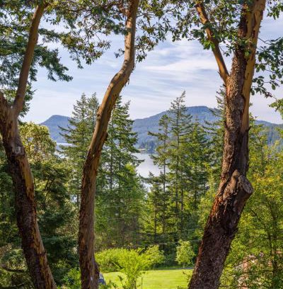 Eastsound House | Beautiful Waterviews, Pet-friendly, Close To Town