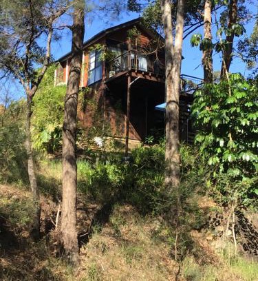Buderim Apartment | Beautifully Elevated Treehouse Apartment