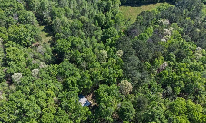 Farmington Cabin | Beaverdam Bliss Cabin on 14 acres
