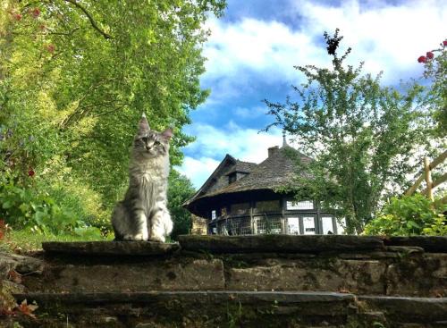 Rochefort-en-Terre Bed & Breakfast | Bed and Breakfast à Rochefort-en-Terre