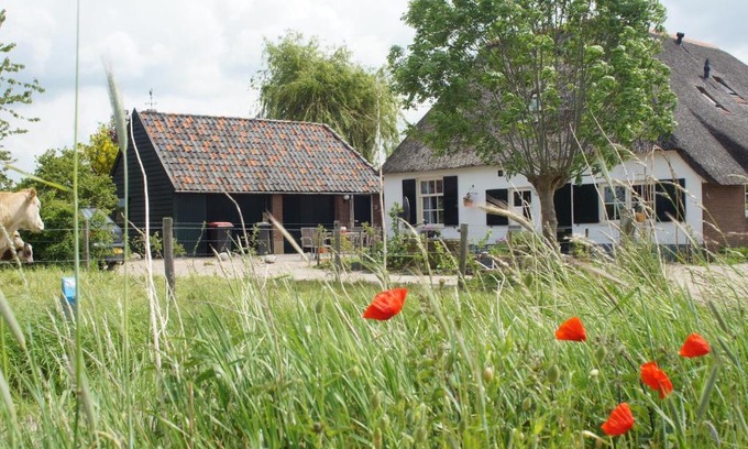 Epse Bed & Breakfast | Bed and Breakfast de Bosakker