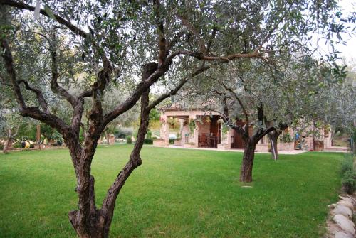 Staffolo Bed & Breakfast | Bed and Breakfast La casa delle rondini
