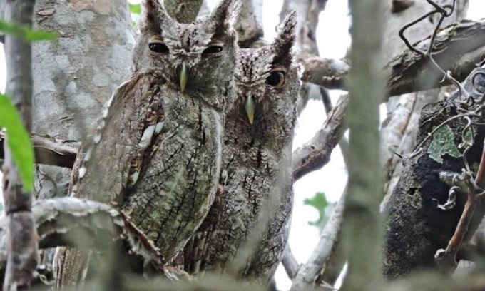 Chachagua Bed & Breakfast | Bed & Breakfast 15 minutes from La Fortuna, Ideal to relax and unwind!