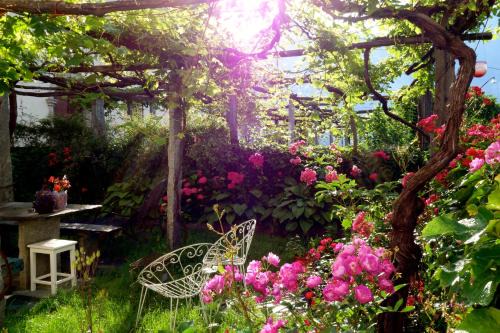Trontano Bed & Breakfast | Bed & Breakfast Uvablu