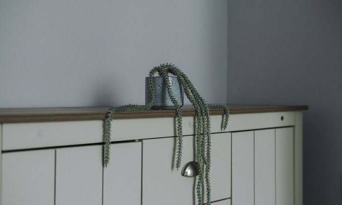 Rossendale Apartment | Beechwood Hideaway - Rossendale