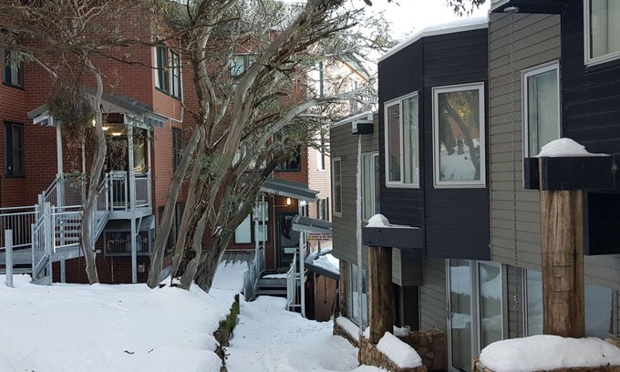 Mount Buller Apartment | BEEHIVE 18: Mt Buller Village - SKI IN/SKI OUT Burke Street Run