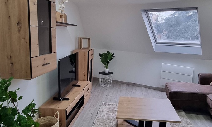 Belfort Apartment | Bel Appt Centre Ville/gare