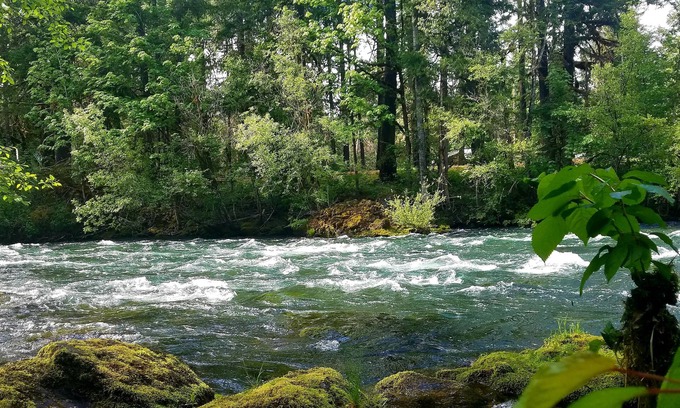 Blue River House | Belknap House on the McKenzie River