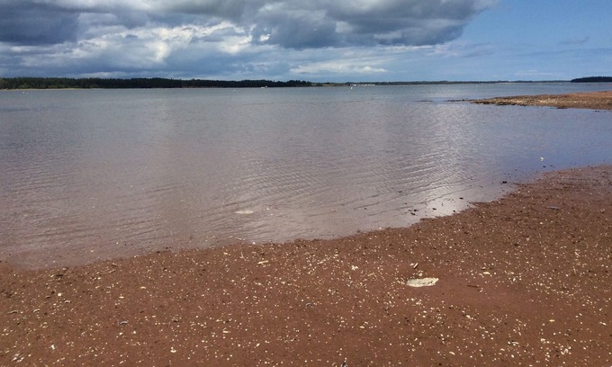 Murray Harbour Cottage | Belleview Beach House cottage with more than 1500 feet waterfront beach....
