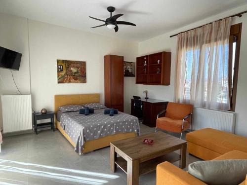 Drama Apartment | Belvedere 3 - Studio