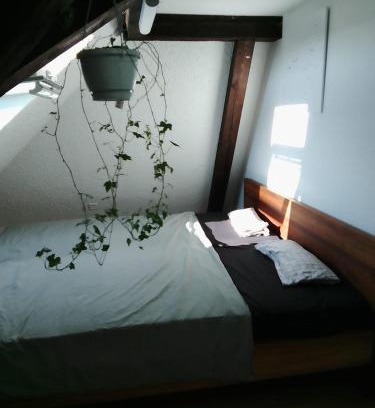 Binningen House | Bequemes, ruhiges Zimmer mit Doppelbett in der Nähe des Zentrums und des Bahnhofs