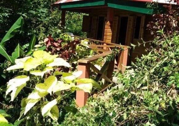 Fond Cani House | Berkey's Jungle Paradise