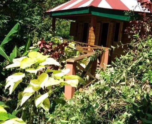 Fond Cani House | Berkey's Jungle Paradise Resort