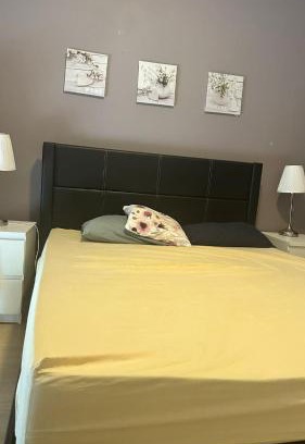 Sao Sebastiao Hotel | Berry