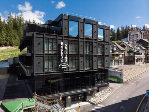 Palyanytsya Apartment | Beskyd Suites