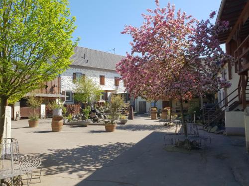 Munstermaifeld Apartment | Besondere Ferienwohnung Spirit auf idyllischem Reiterhof nahe Burg Eltz