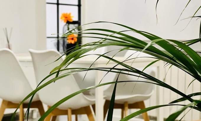 Nueva Espana Apartment | BEST FLAT NEAR REAL MADRID STADIUM