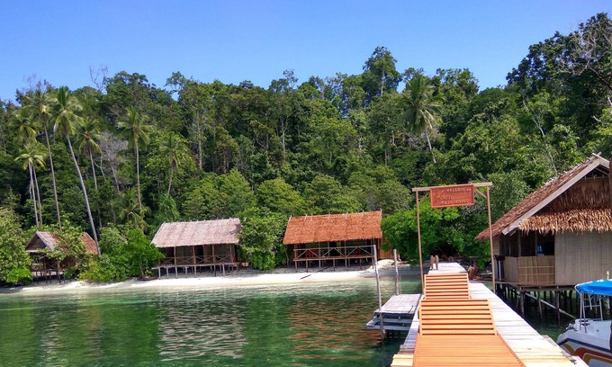 Raja Ampat House | Best rajaampat homestay. the best spot for snorkling and diving mansuar island,,