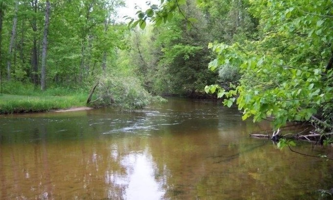Thompsonville Cabin | Betsie River Frontage with view of Crystal Mt.