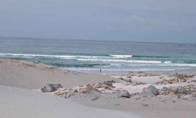 Betty's Bay House | Betty's Bay- home to Stony Point penguin colony, and the Kogelberg Biosphere