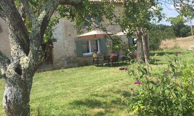 Castelnau-de-Montmiral House | Between bastides, vineyards and forests