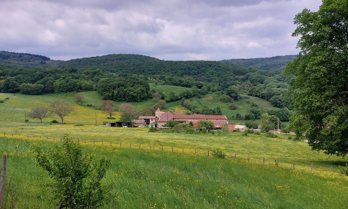 Aze House | Between vineyards and forests in the Mâconnais