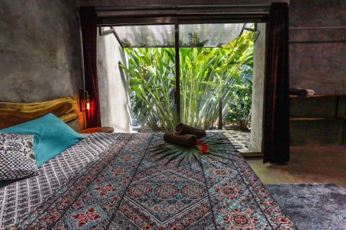 Buenavista House | Beunavista Villas