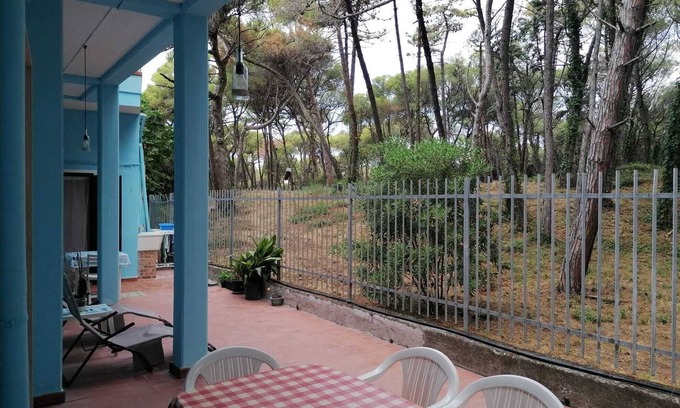 Marina di Bibbona Apartment | Bibbona Summer - Pineta 1