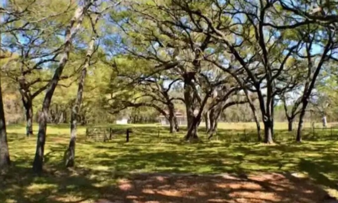 Brooksville Apartment | Big and Little Oak @ WFL Event Ranch