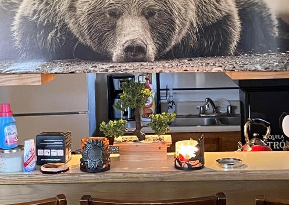 Woodlands House | Big bear home