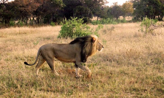 Mookgopong Cabin | Big game viewing, rich variety of wildlife