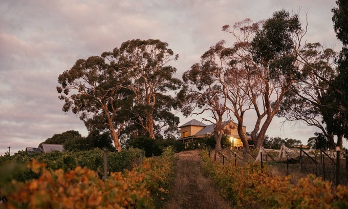 Drummond North Other | Big Vine House on Zig Zag Winery