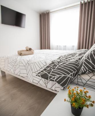 Lenins'kyi district Apartment | Bilius Apartment