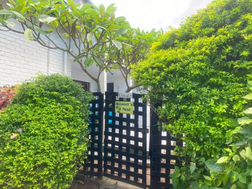 Ramsgate South Apartment | BillsBest Weavers Nest