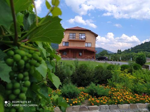 Sil Hotel | Bilovoddya Hotel