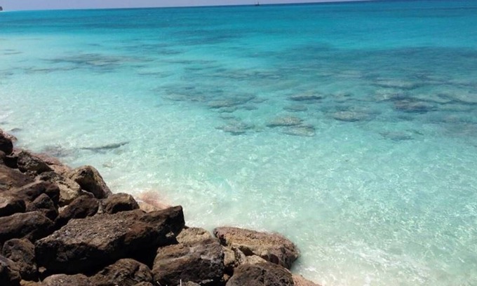 Alice Town House | Bimini, Cracked Conch 18 slip - 60Ft