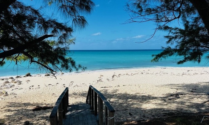 Alice Town Condo | Bimini World Resorts TIPSY TURTLE With Boatslip and Polaris UTV