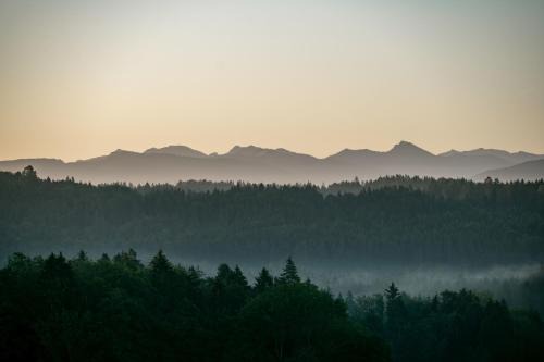 Hechenberg Hotel | Bio-Landhotel Moarwirt
