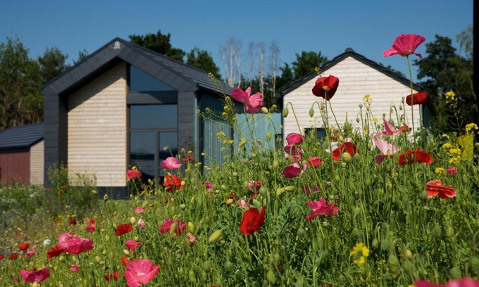 Zeulenroda-Triebes House | Bio-Seehotel Chalets
