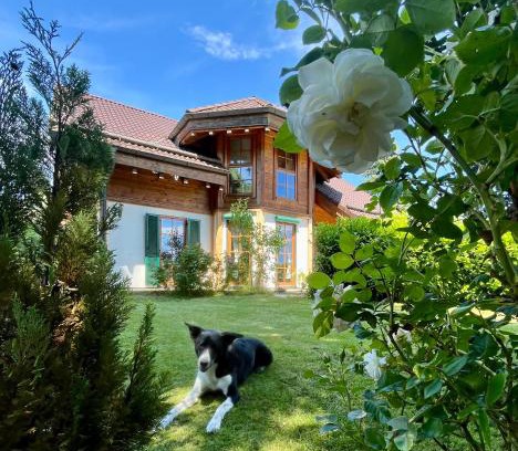 Bad Elster Apartment | "Biohauszeit" im Tiroler-Holzhaus