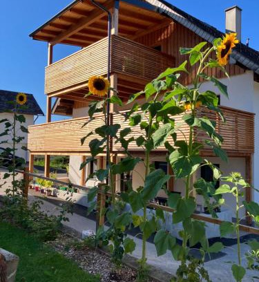 Aurach am Hongar Apartment | Biohof Auinger, der Tiererlebnishof