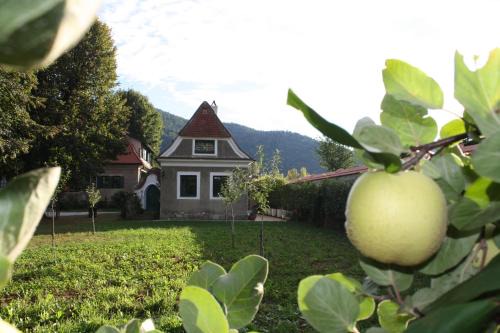 Durnstein Apartment | Bioweingut Schmidl Rosenstöckel
