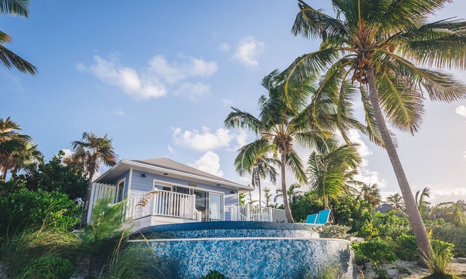 Governor's Harbour Cottage | Bird of paradise, purple papaya