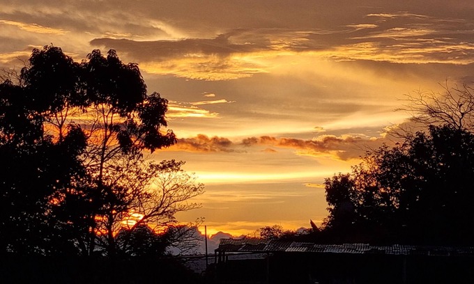 Arenal Hotel | Bird of Paradise