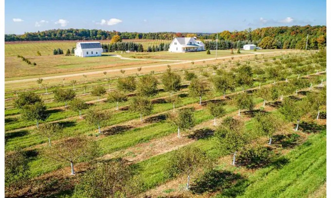 Suttons Bay Apartment | Birds Nest: Farm Stay with orchard views.