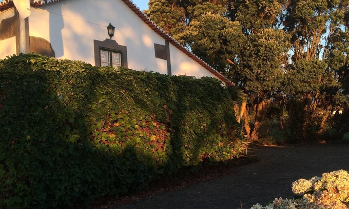 Biscoitos Cottage | Biscoitos balcony on Terceira Island