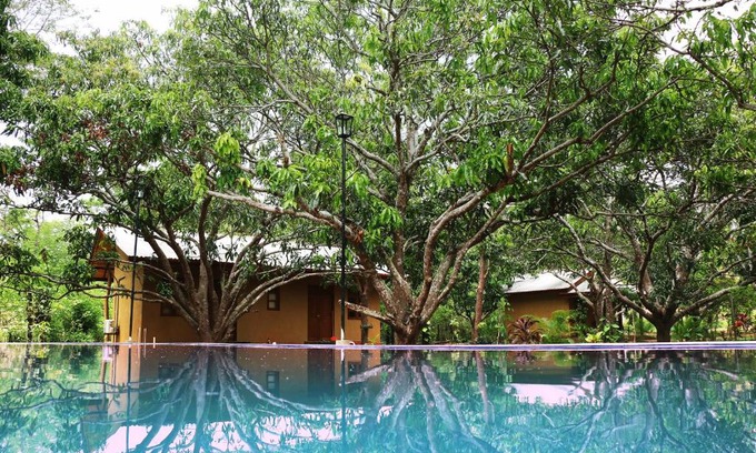 Palugaswewa Cabin | Bissa Villa