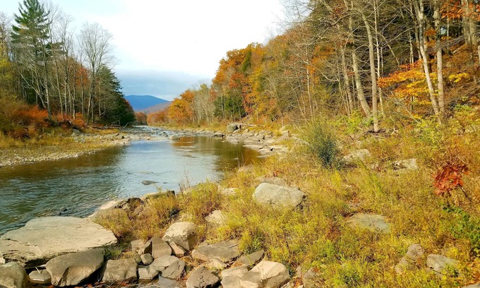 Prattsville Hotel | Black Bear Lodge