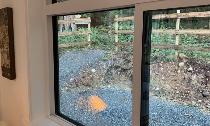 Regional District of Nanaimo Cottage | Black Bears Den - Cozy cottage in the woods pet friendly and hiking at your door